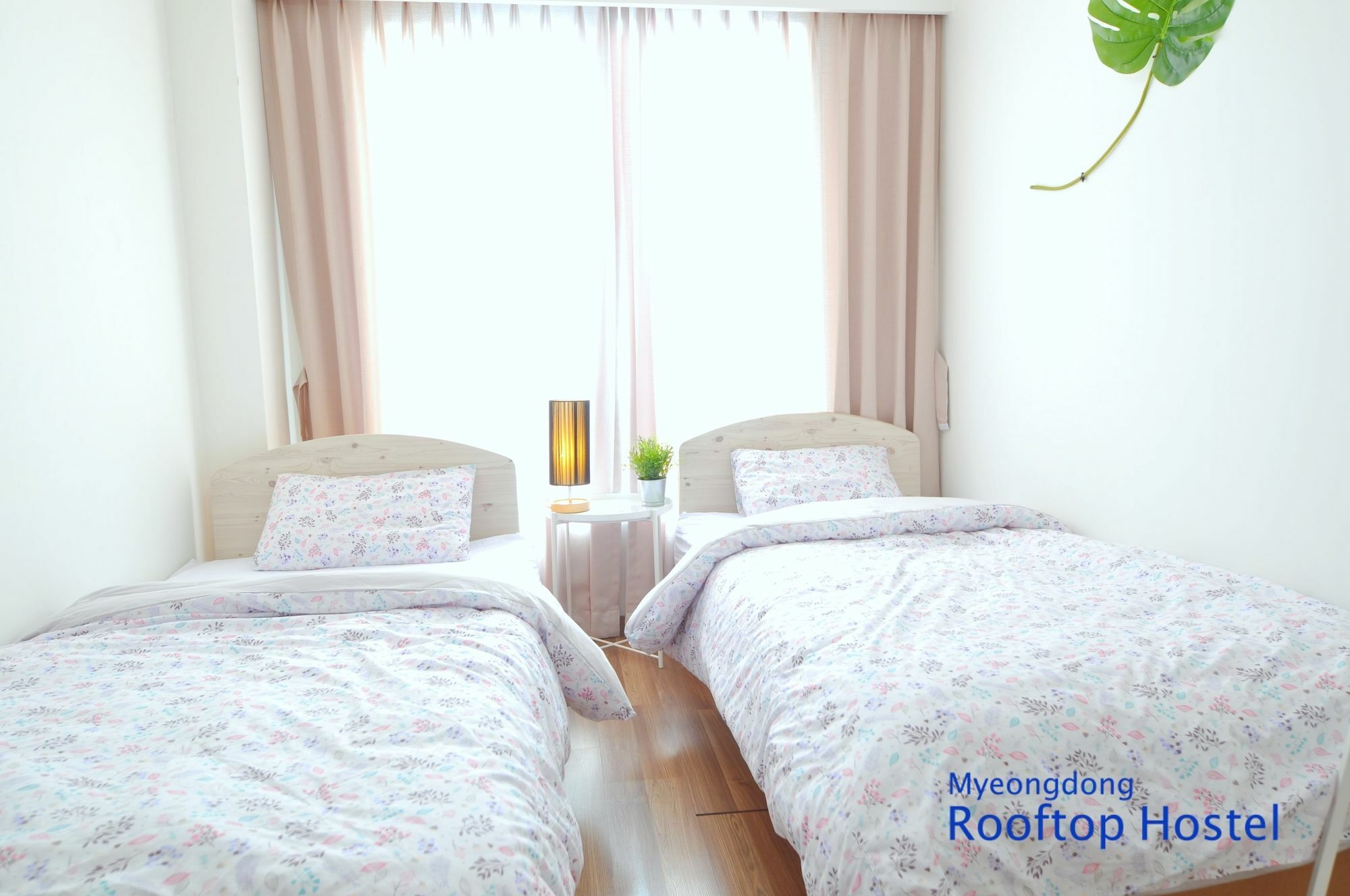 Myeongdong Rooftop Hostel Seul Dış mekan fotoğraf