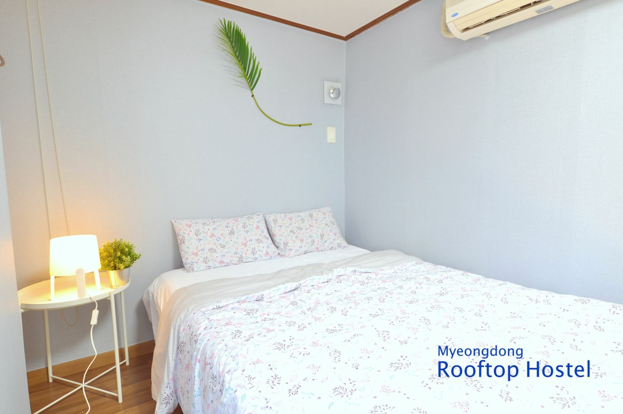 Myeongdong Rooftop Hostel Seul Dış mekan fotoğraf